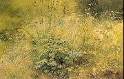 Ivan Shishkin Herbage oil painting reproduction
